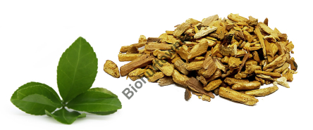PALO SANTO ŚWIĘTE drzewo INDIAN płatki