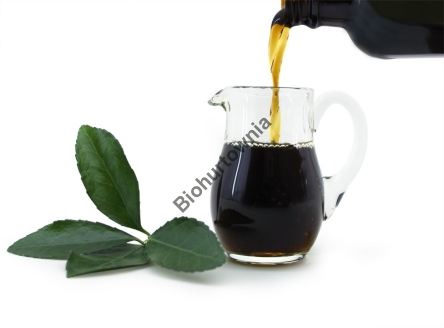 Korzeń szczeci - wyciąg, ekstrakt w kroplach 30ml/100ml
